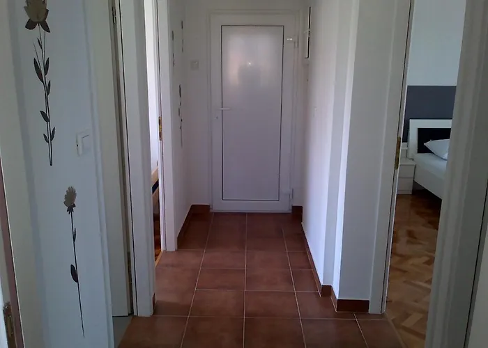 Brinkmann * ツリクヴェニツァ