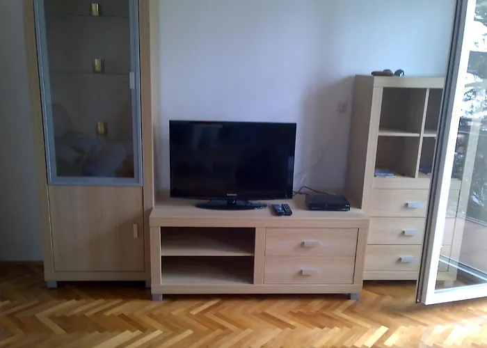 Brinkmann ツリクヴェニツァ