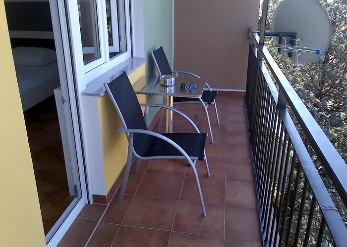 Brinkmann * ツリクヴェニツァ